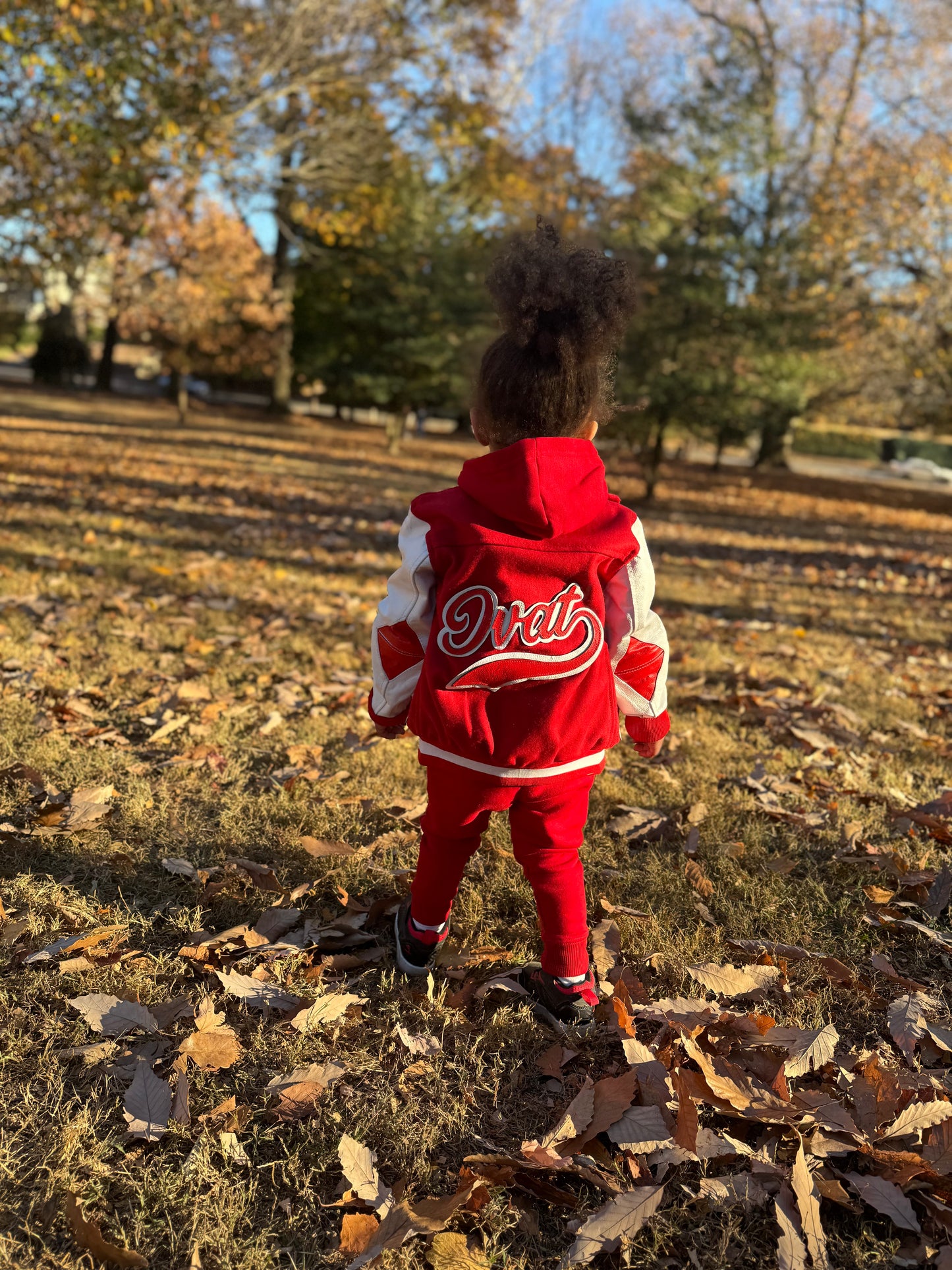 Toddler D1 Varsity Bomber Red